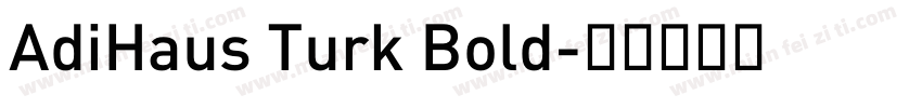 AdiHaus Turk Bold字体转换